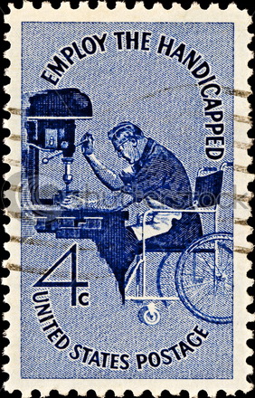 senior polytype